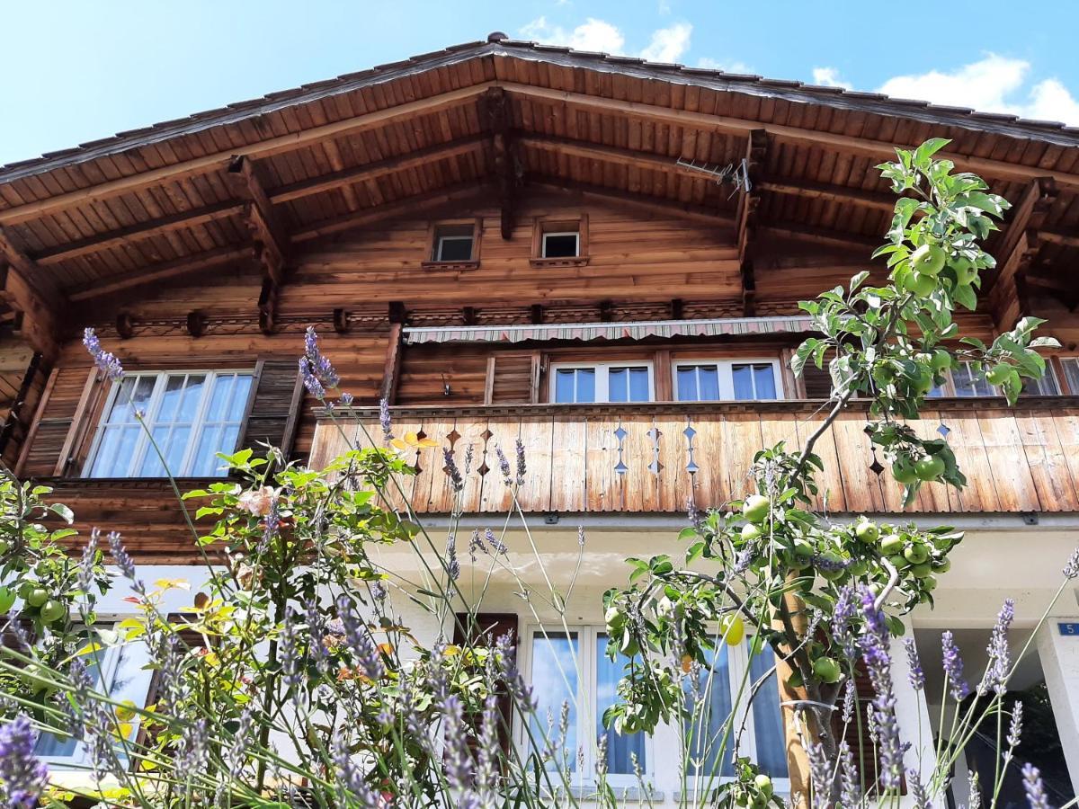 Cozy Chalet By Interlaken. Parking 링겐베르크 외부 사진